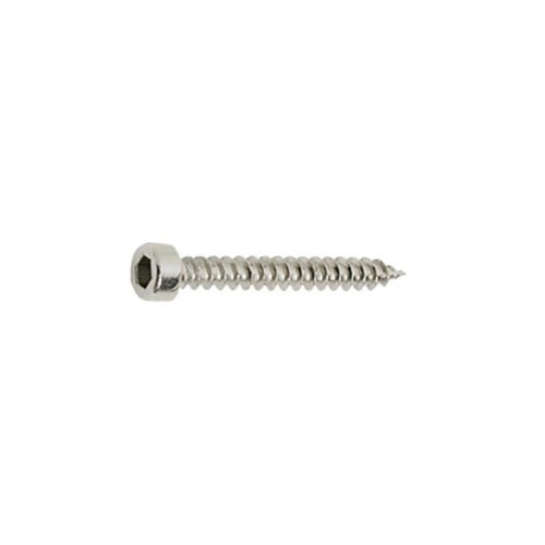 M6 x 80 Wood Screw with Socket Head